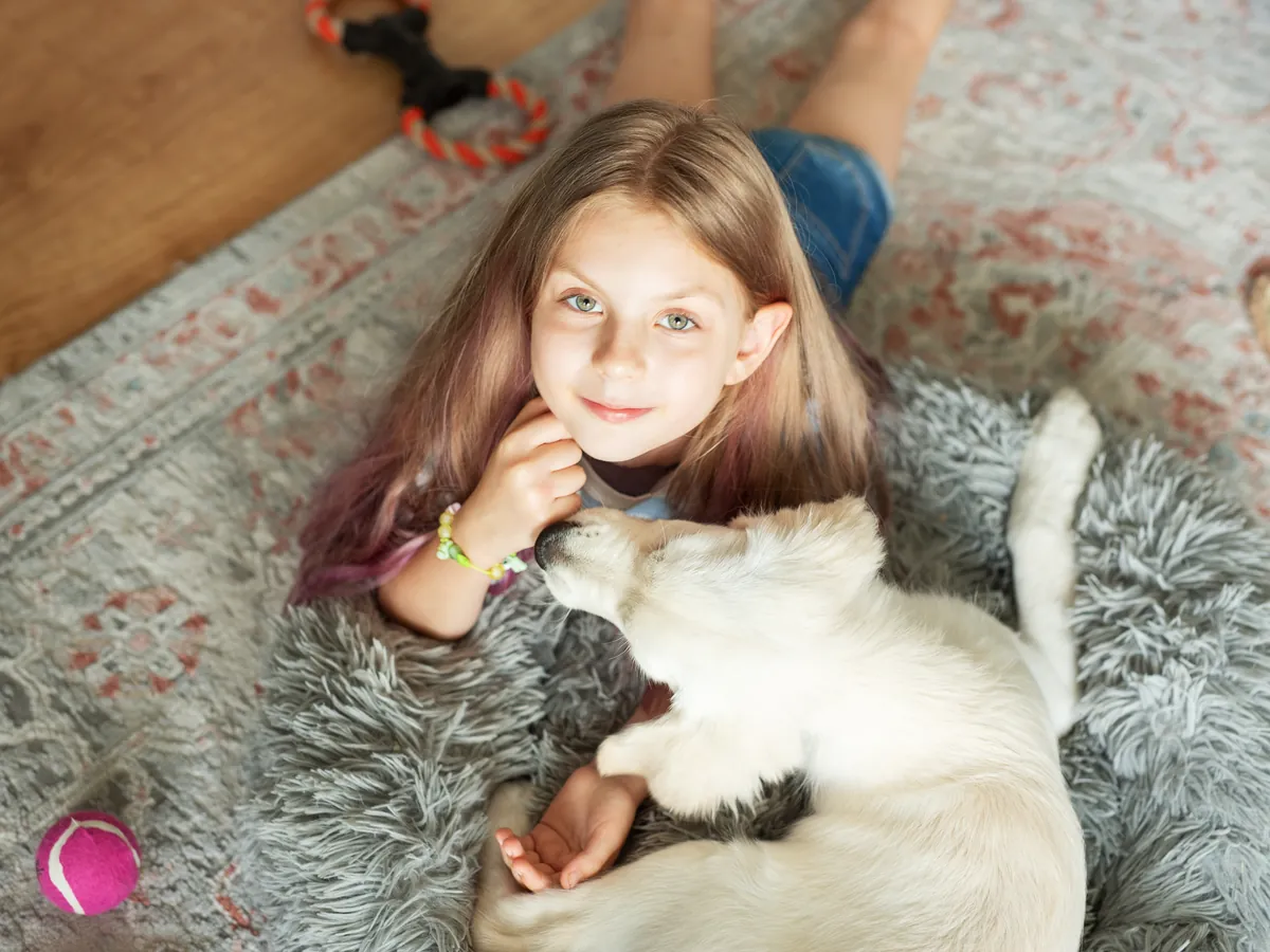 Girl lying on a clean oriental rug with her golden retriever puppy
