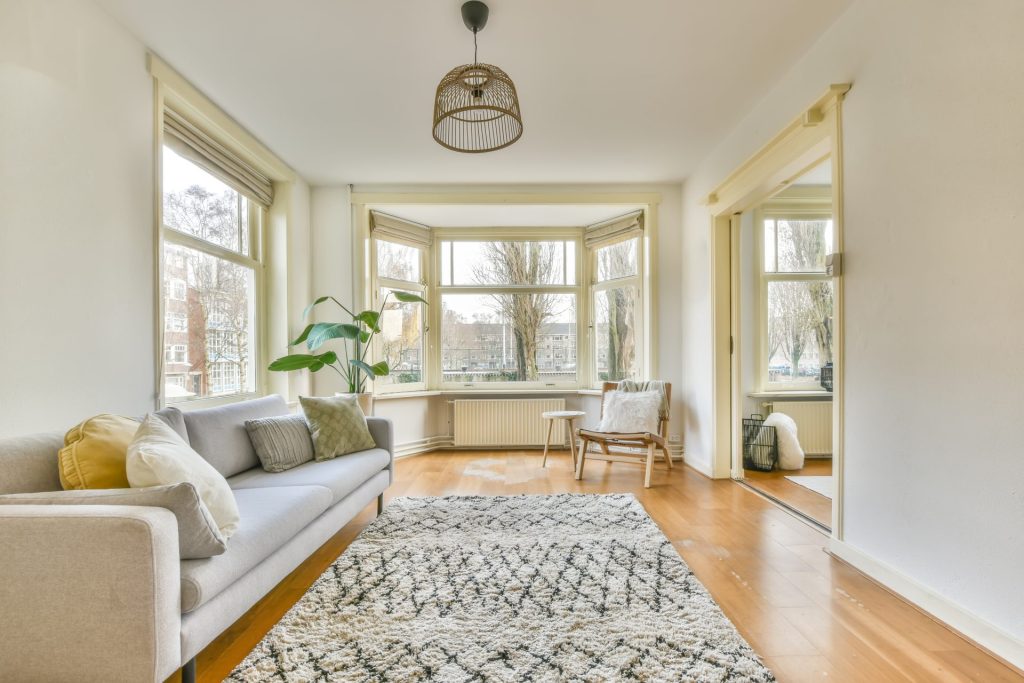 living room with a patterned shag rug